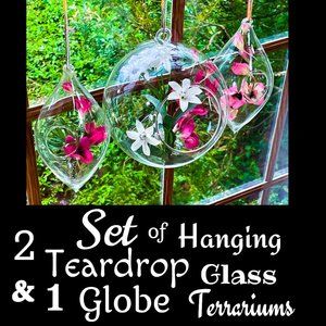 ⭐️HP⭐️Set of 2 Teardrop & 1 Globe Hanging Glass Terrariums